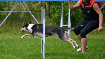 Hupi Agility